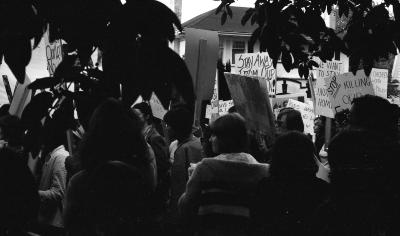 Untitled [1.10513-TEST]