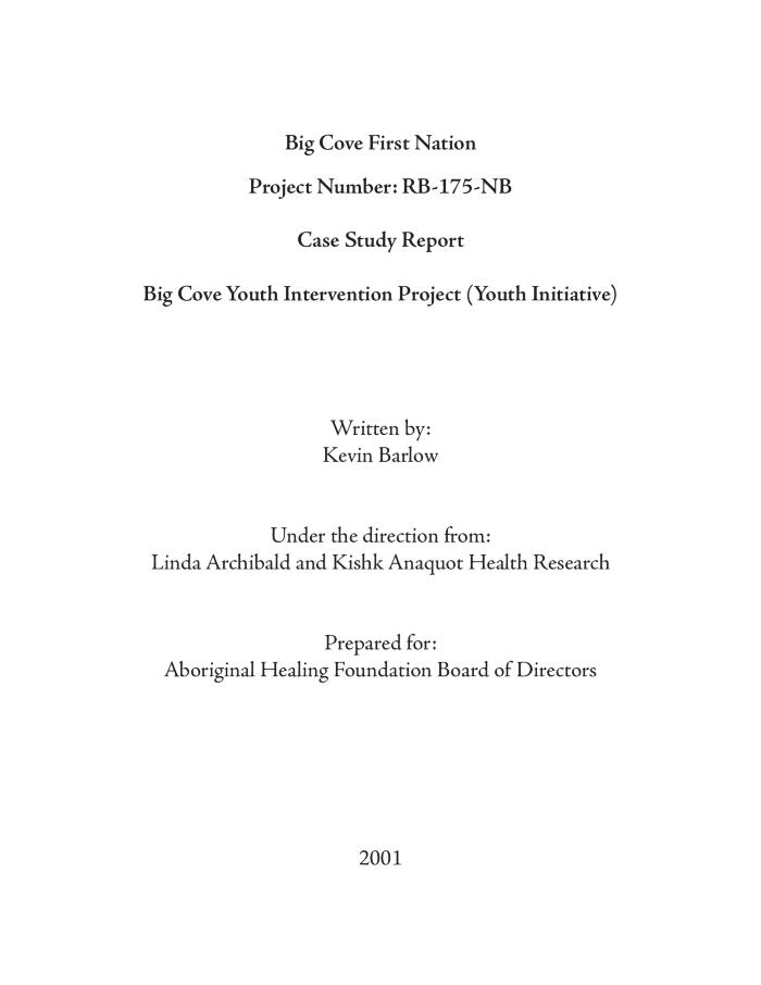 Case study report : Big Cove Youth Intervention Project (youth initiative)