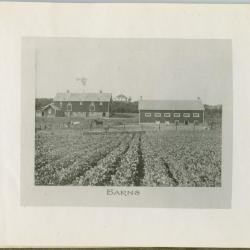 With heartiest Christmas greetings ... from the principal and staff of the Indian Industrial School, Brandon, Man.