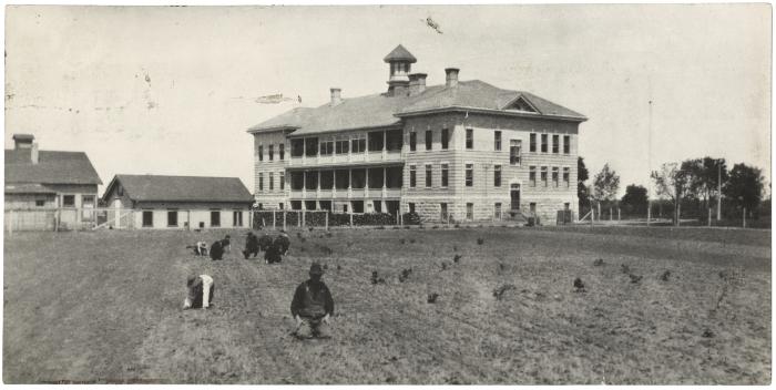 [Boys in the planting fields at Portage la Prairie Indian Boarding School]