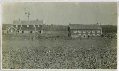 [Barns and pasture, Brandon Industrial Institute]