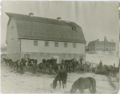 [Horses outside the barn in early spring, Brandon Institute]