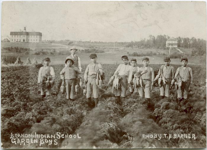 [Garden boys, Brandon Indian School : boys and their instructor showing some of the fruits of their labours in the carrot patch]