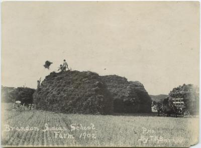 [Bringing in the hay, Brandon Indian School farm]