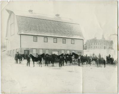 [Horses outside the barn in winter, Brandon Institute]