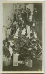 Christmas tree, Morley Indian school