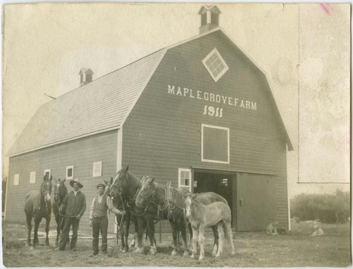 Indian home on the File Hills Colony