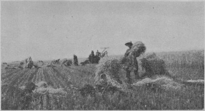 Indian boys in the harvest fields of Portage la Prairie Boarding School