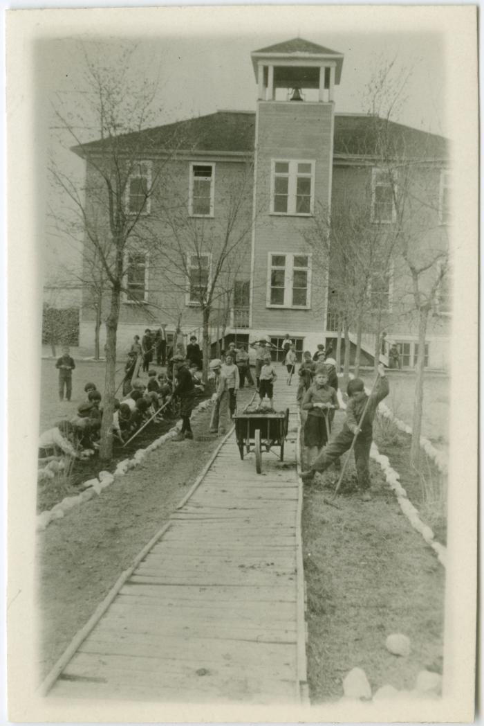 Public school arbour day, Teulon