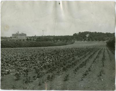 View of the Brandon Indian Institute and garden, Brandon, Man.