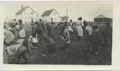 Studying gardening included in the curriculum at I.I.S., Red Deer