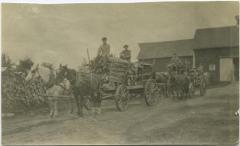 Transporting wood by horse-drawn cart, Red Deer Indian Institute, Alta.