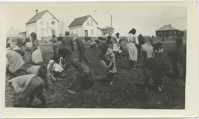 Studying gardening included in the curriculum at I.I.S., Red Deer