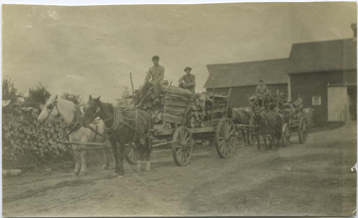 Transporting wood by horse-drawn cart, Red Deer Indian Institute, Alta.