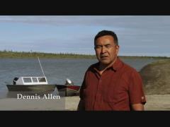 Dennis Allen - My Perspective