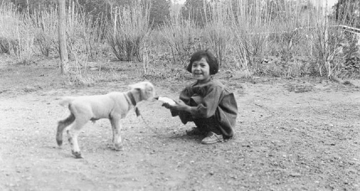 St. George's School, Lytton, B.C. - School girl feeding lamb