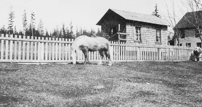 Alert Bay School - Principal's shack and horse "Pat"