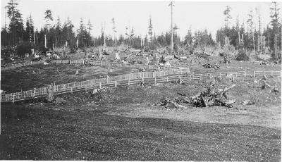 Panorama of farm, Alert Bay School - photo #2