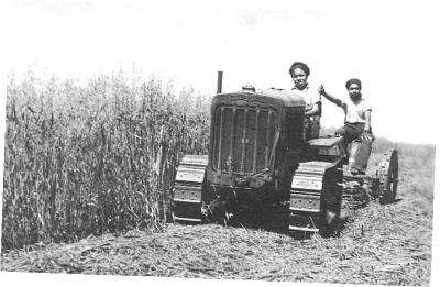 Harvesting operations, Alert Bay School