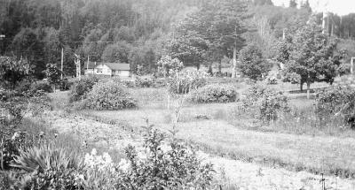 Preventorium and school garden, Alert Bay School