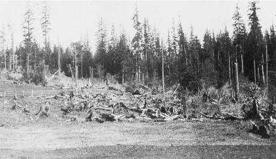 Panorama of cleared land on farm, Alert Bay School - Photo #3