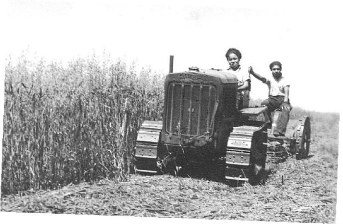 Harvesting operations, Alert Bay School