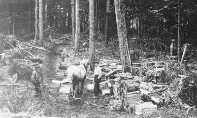 Alert Bay School - boys loading wood
