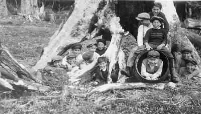 "Dioflues" [?] and Co., with tub and old stump