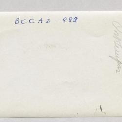 Children and teacher