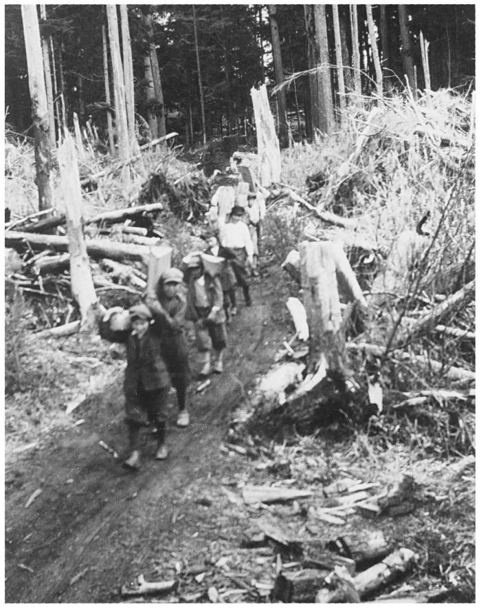 Alert Bay School - boys packing blocks of wood from forest