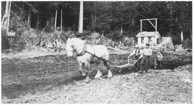 Alert Bay School Ploughing - William Todd, S. Hunt, G. Hall