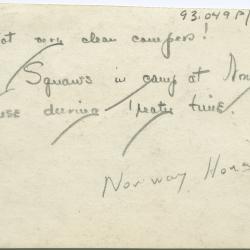 [Cree Indian women camping at Norway House at treaty time]