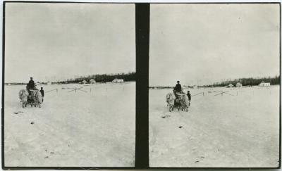 [Travelling by ox team, Norway House]