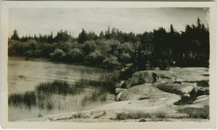 [View of Ross Island shoreline]