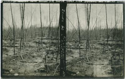 Portage where some Indians left their camp fire burning and started a great [blaze?]