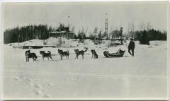 [Woman being pulled in a sleigh by a dog team : the chief fire ... house in the background]