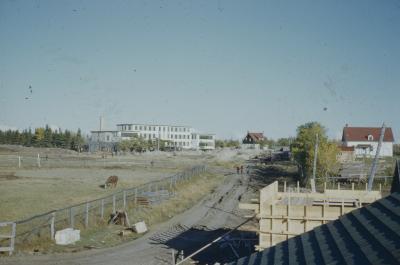 [Road leading to the grounds of Norway House]