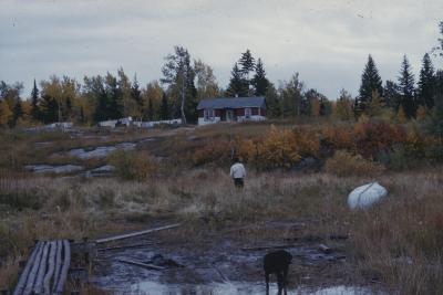 Marshy area around Norway House