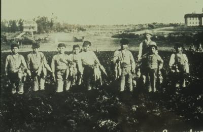 Young boys from an Indian school bringing in the produce from the garden