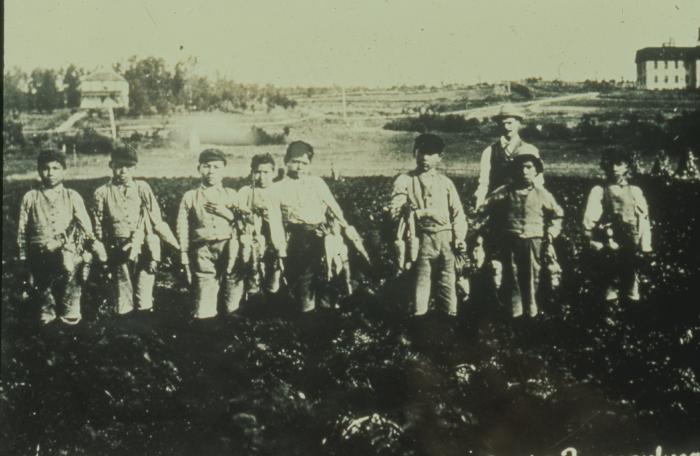 Young boys from an Indian school bringing in the produce from the garden