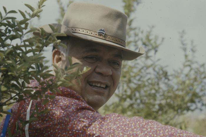 Lenny Watson sitting amongst the trees, during the apology of the 31st General Council to the Native peoples.