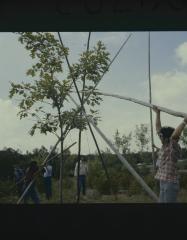 Erecting the tepees at General Council, on traditionally native land where the University in Sudbury is build before the native apology by the 31st General Council