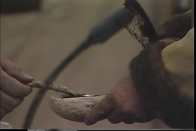 Maniwaki, QUE 92-12-02, Part 1 of 20