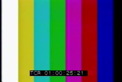 RCAP Hearing: Ottawa, ONT 93-11-04 [Video]